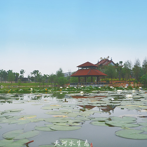 瑞安明鏡公園