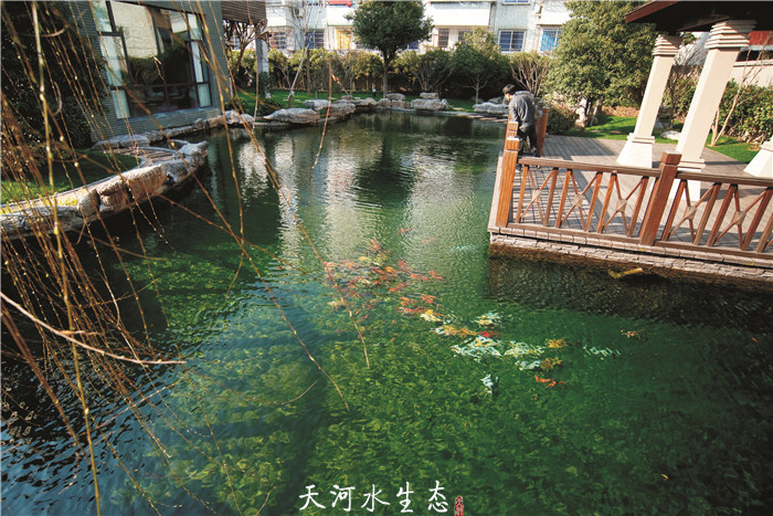 得力庭院