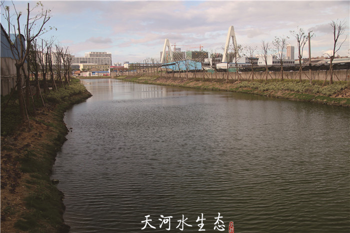 盛家河